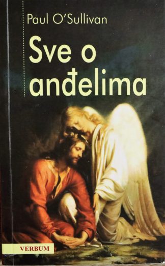 Sve o anđelima - Paul O Sullivan