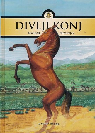 Divlji konj - Božidar Prosenjak